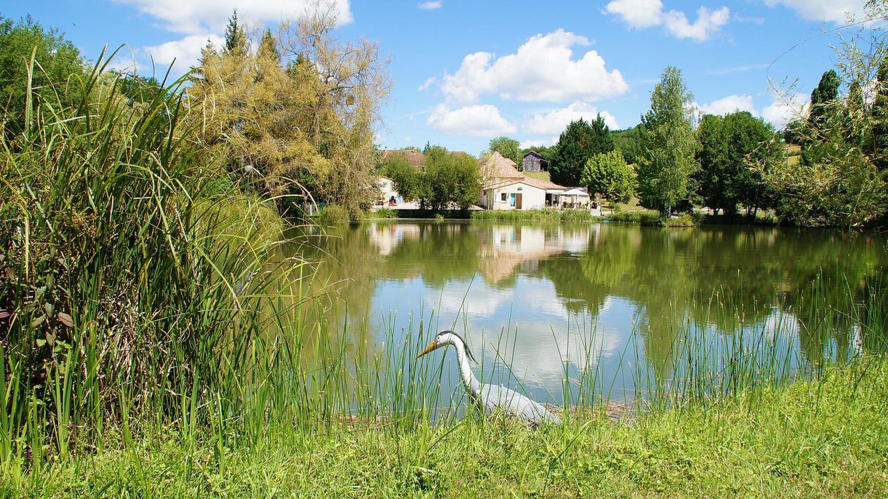 Le Domaine de L'étang de Sandanet Issac Esterno foto