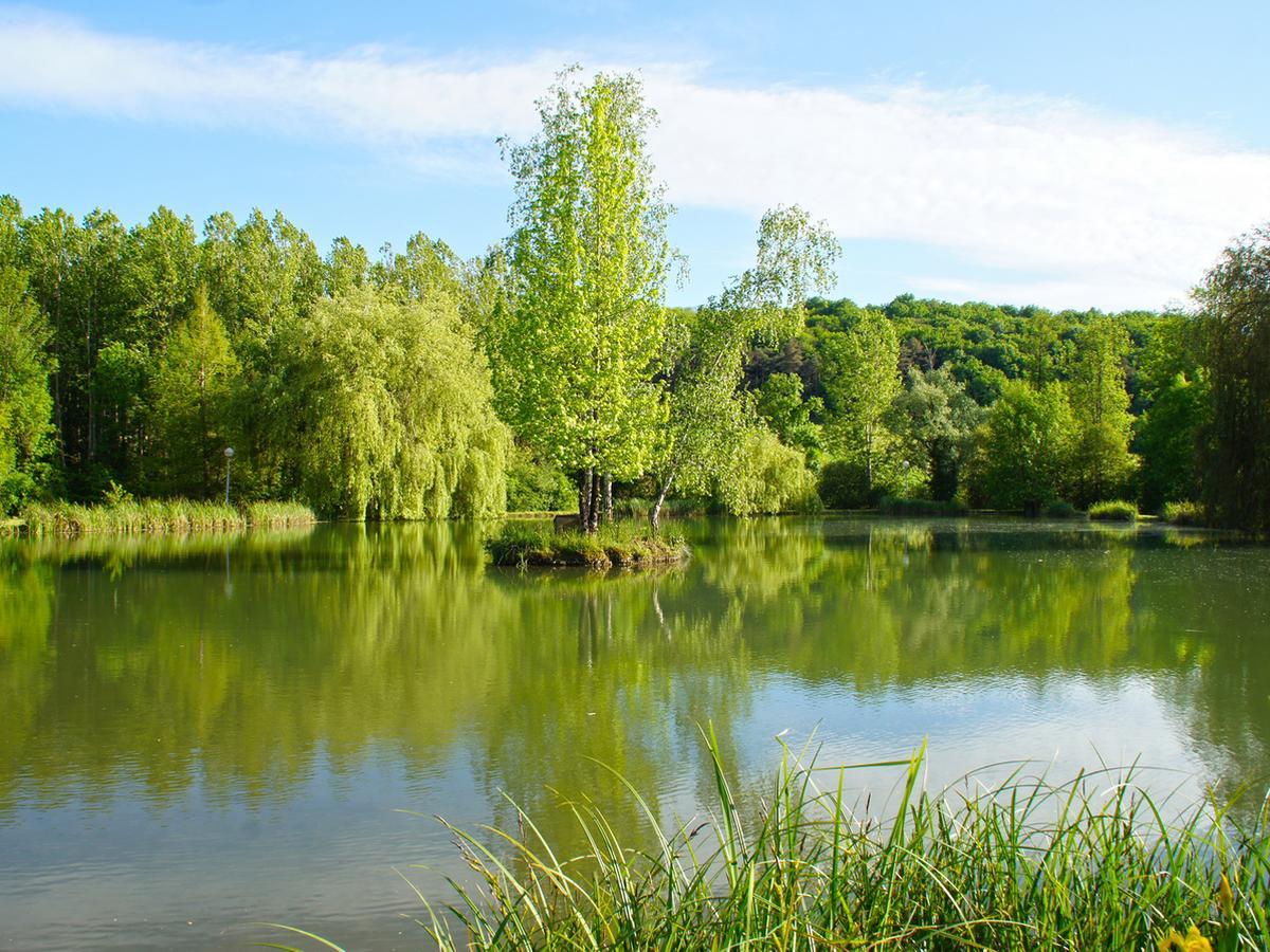 Le Domaine de L'étang de Sandanet Issac Esterno foto